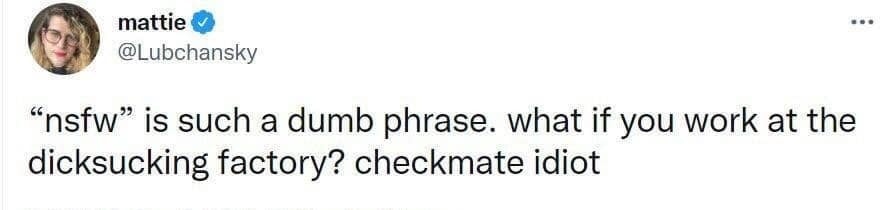 The meme is a joke about a person's response to being asked to explain the term "NSFW" (not safe for work). The person responds with a sarcastic and playful definition of the term, saying "NSFW" is "not sex for work" and that it's a "dumb" phrase because it's obvious what it means. The punchline is that the person is being sarcastic and implying that the term is obvious, but also that it's a "dumb" phrase because it's so obvious that it's not even a secret.